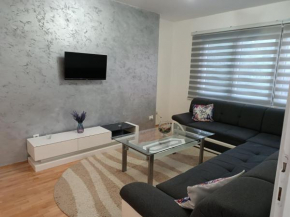 Apartman VOZIC
